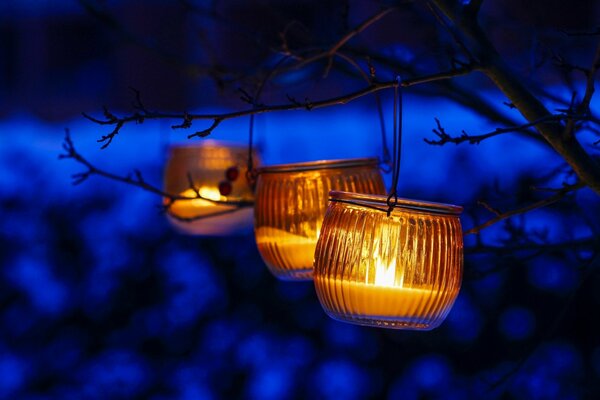 Trois lanternes de saechka pendent sur une branche