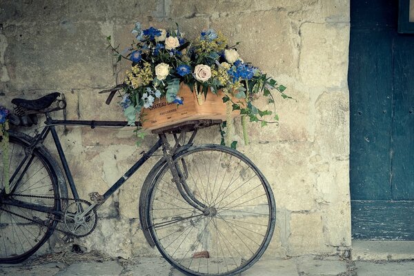 A bicycle with flowers standing near the wall