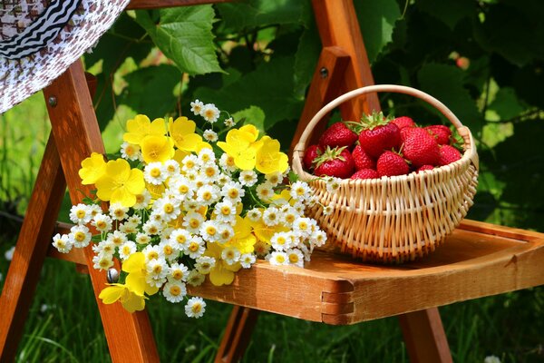 Still life, basket strawberries, daisies