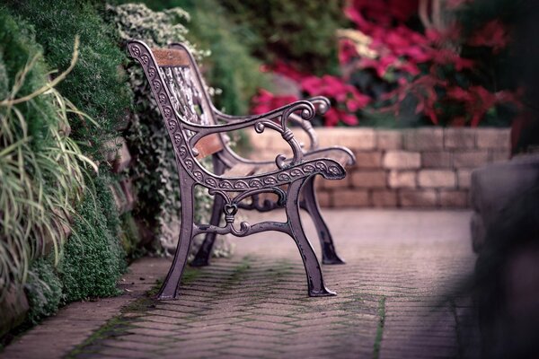 Stop and sit down on a bench and take a look at nature