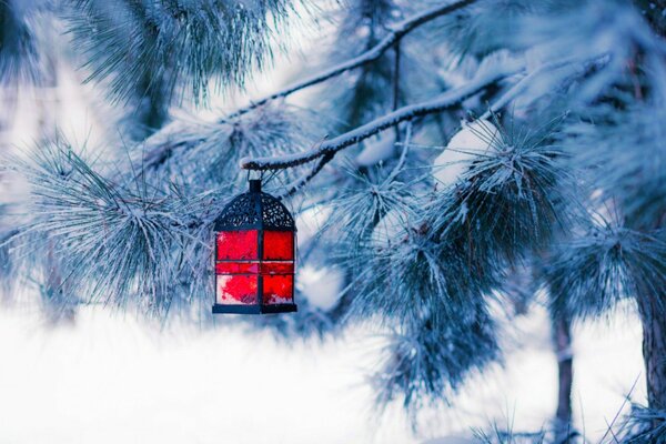 Linterna roja en el árbol de Navidad