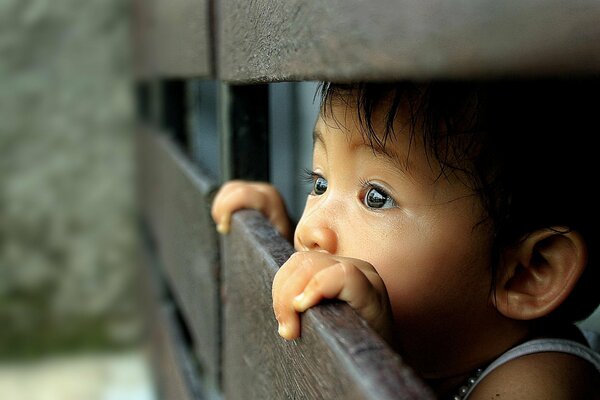 Regard surpris de l enfant à travers la clôture