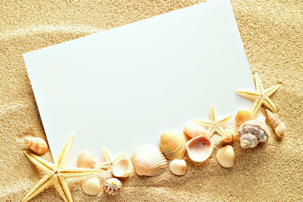 The picture on the sand is a white leaf with shells