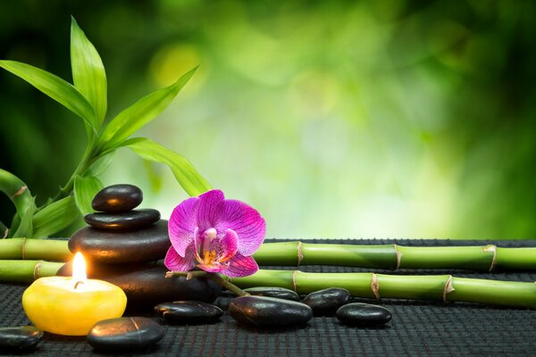 Bamboo and orchid with stones for Thai massage