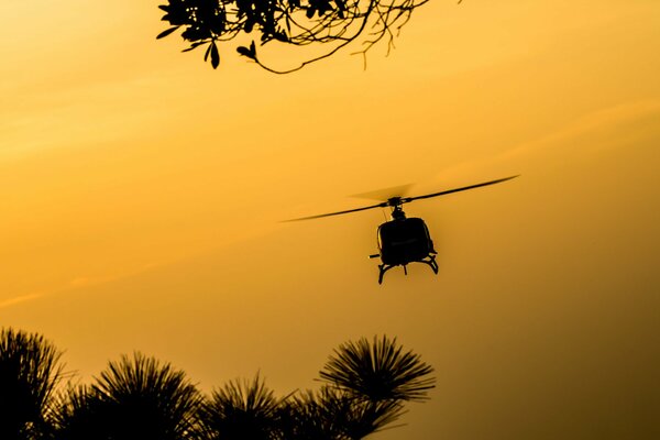 Silhouette eines Hubschraubers bei gelbem Sonnenuntergang