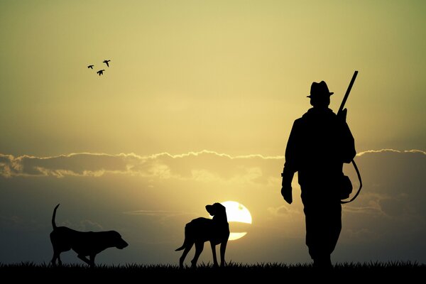 A hunter with dogs and a gun on the background of sunset