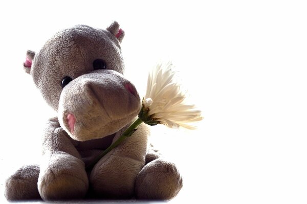 Hippo toy with a flower on a white background