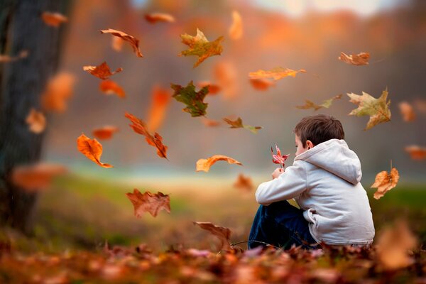 Niño en el fondo de las hojas que caen en el bosque de otoño