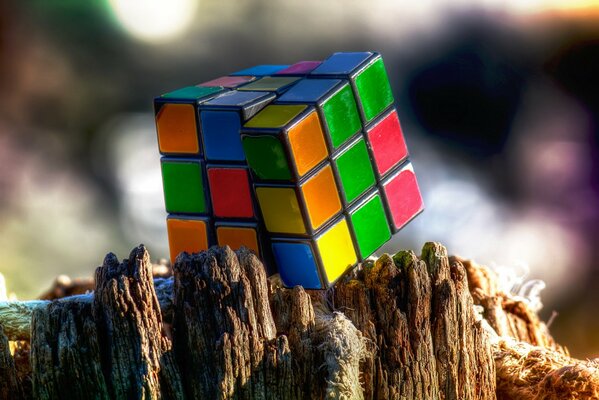 Rubik s cube on a stump macro shooting