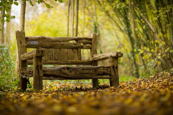 Ein altes Geschäft vor dem Hintergrund des Herbstwaldes