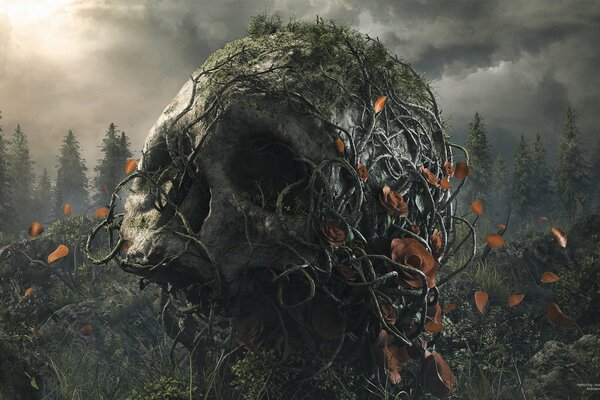 Crâne humain enroulé autour des racines des arbres