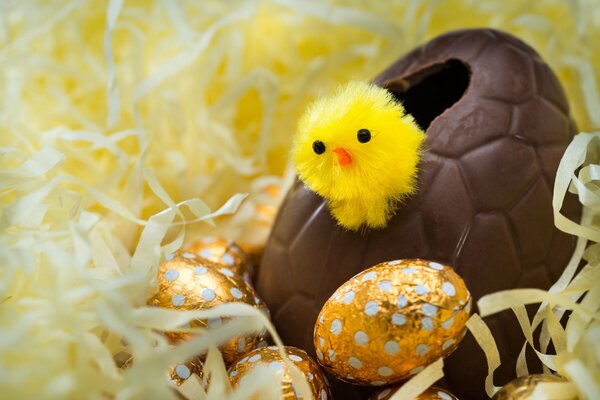 A small toy chicken peeks out of a chocolate egg