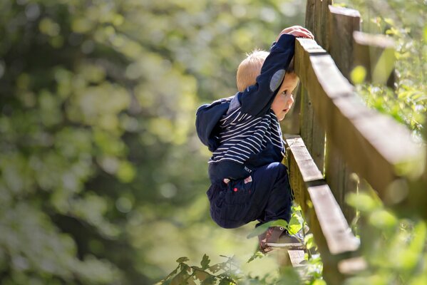 Kleiner Junge kletterte auf den Zaun