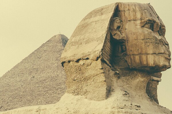 Skulptur der ägyptischen Sphinx auf dem Hintergrund einer Pyramide