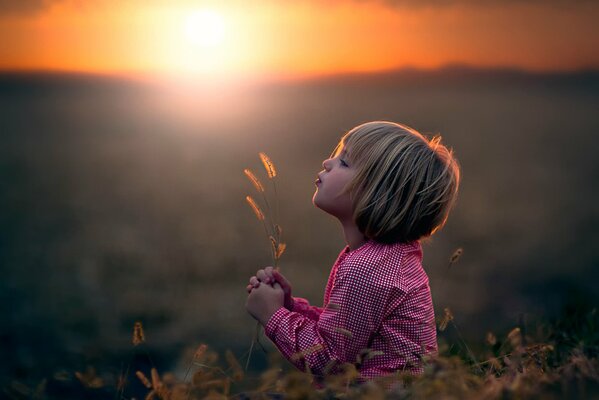 A girl in a field with a spikelet in her hands against the background of the setting sun