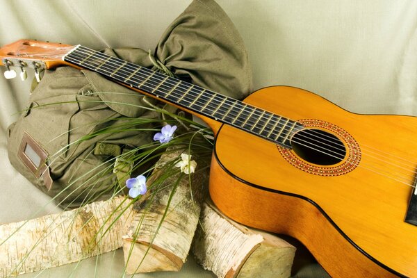 Chitarra still life con fiori e tronchi