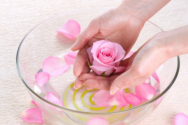 Pétales de rose dans un bol en verre et les mains tenant un bourgeon de rose