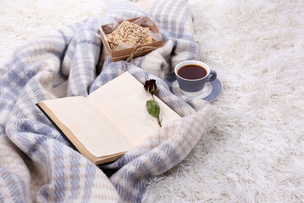 Le livre se trouve sur un plaid à côté du café