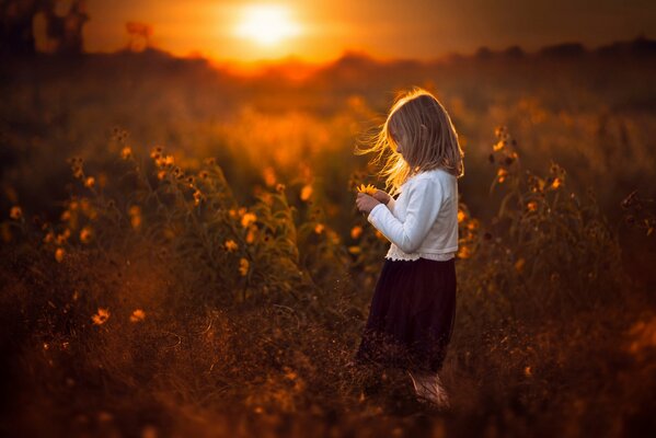 Mädchen mit einer Blume in den Händen auf Sonnenuntergang Hintergrund