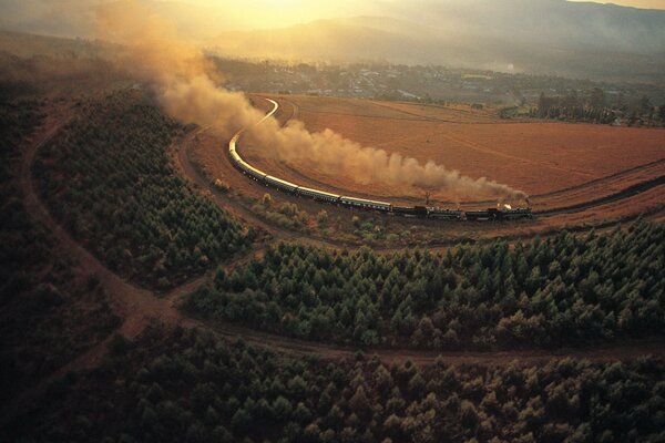 A railway laid along the trees