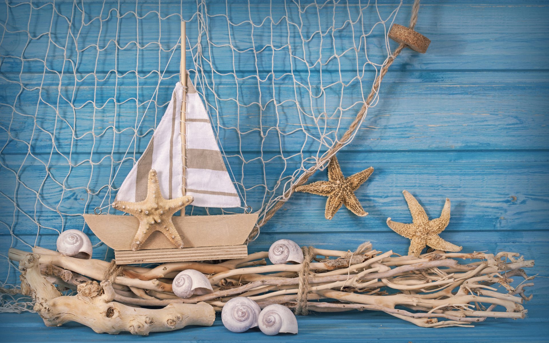 tree branches shells star ship sail network