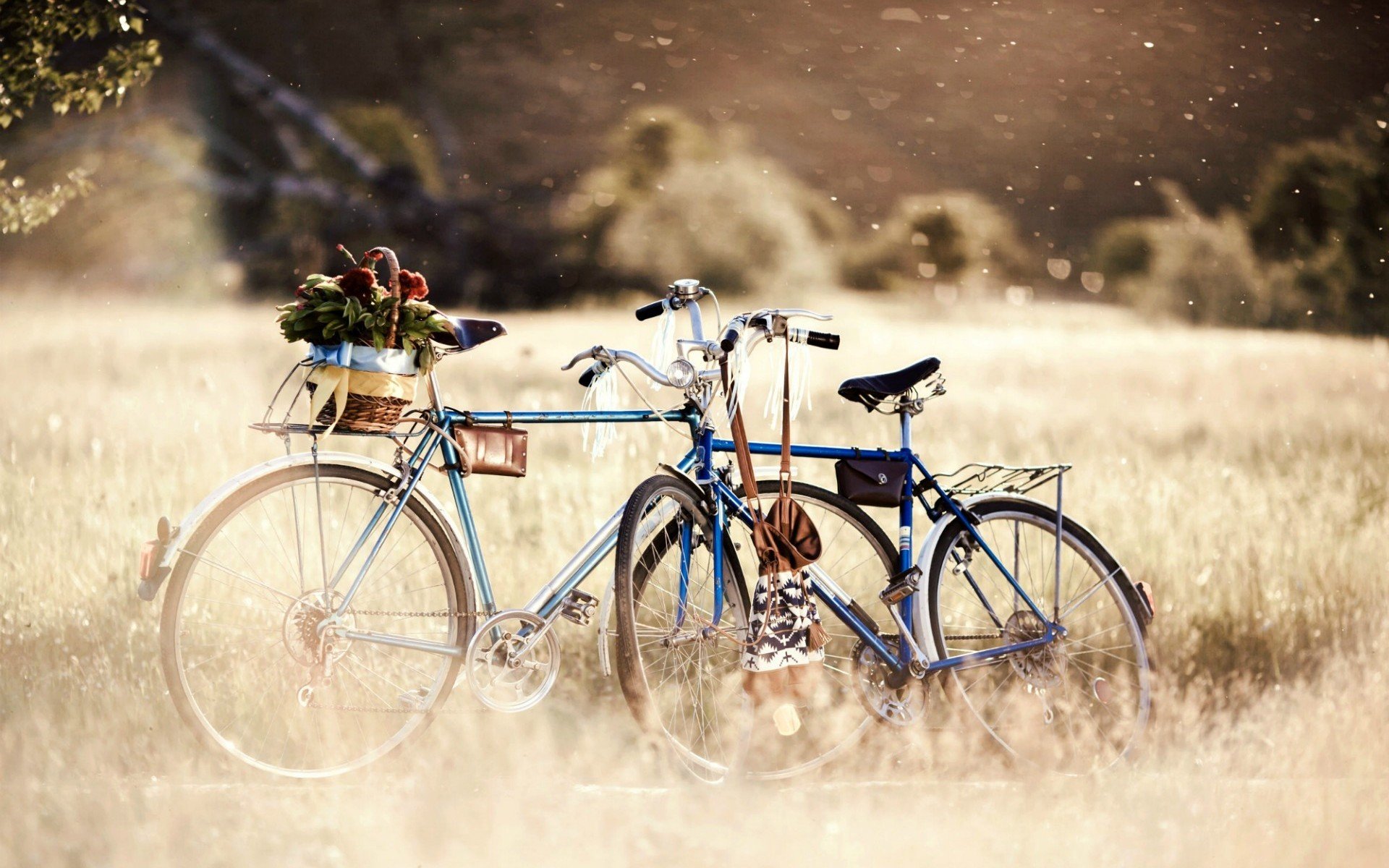 varios estados de ánimo bicicleta bicicleta bicicletas cesta flores flores ruedas plantas naturaleza hierba vegetación día bokeh árboles desenfoque fondo papel pintado pantalla ancha pantalla completa pantalla panorámica