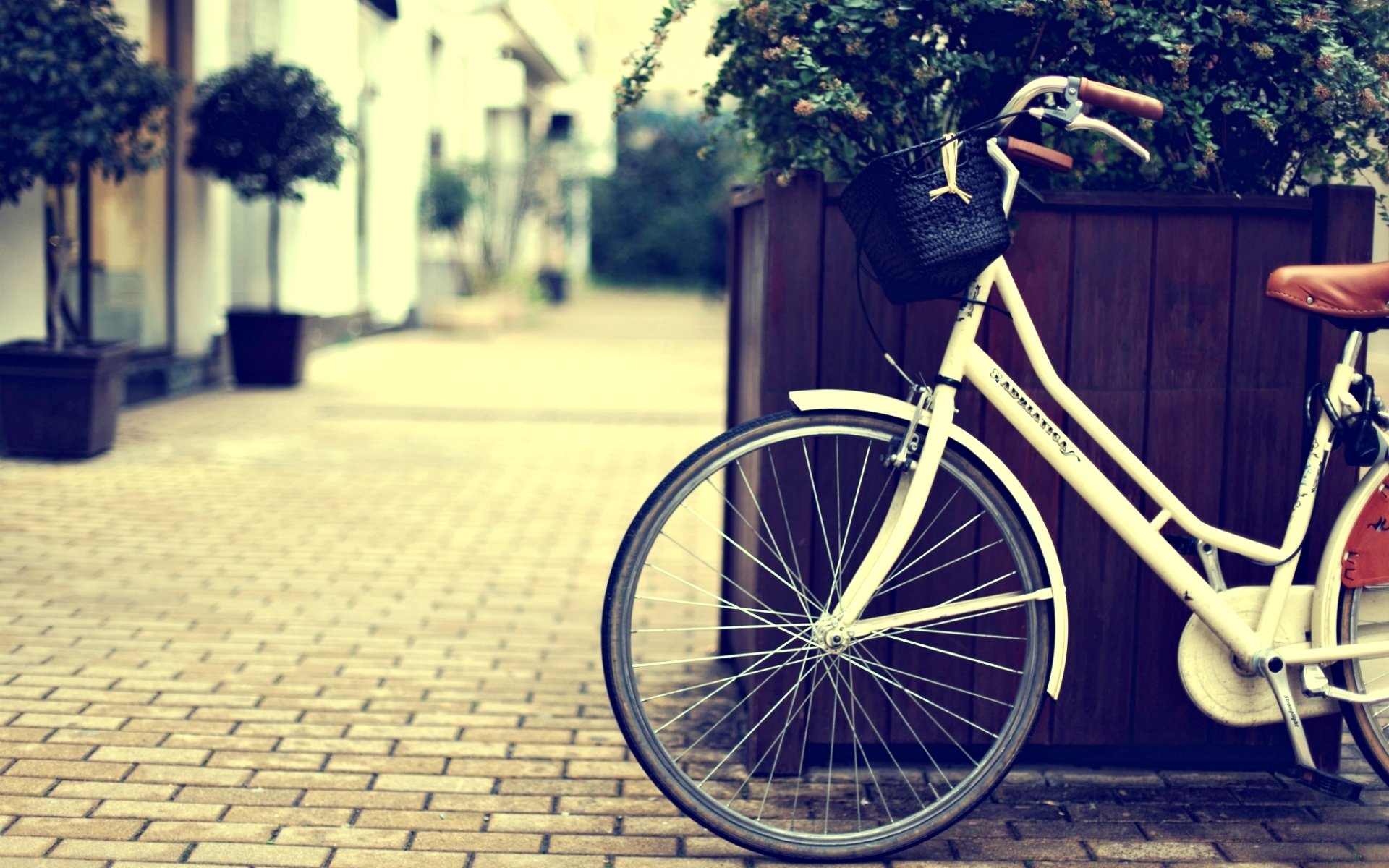 varios bicicleta calle ciudad cesta cesta rueda planta flores flor fondo papel pintado pantalla ancha pantalla ancha pantalla ancha