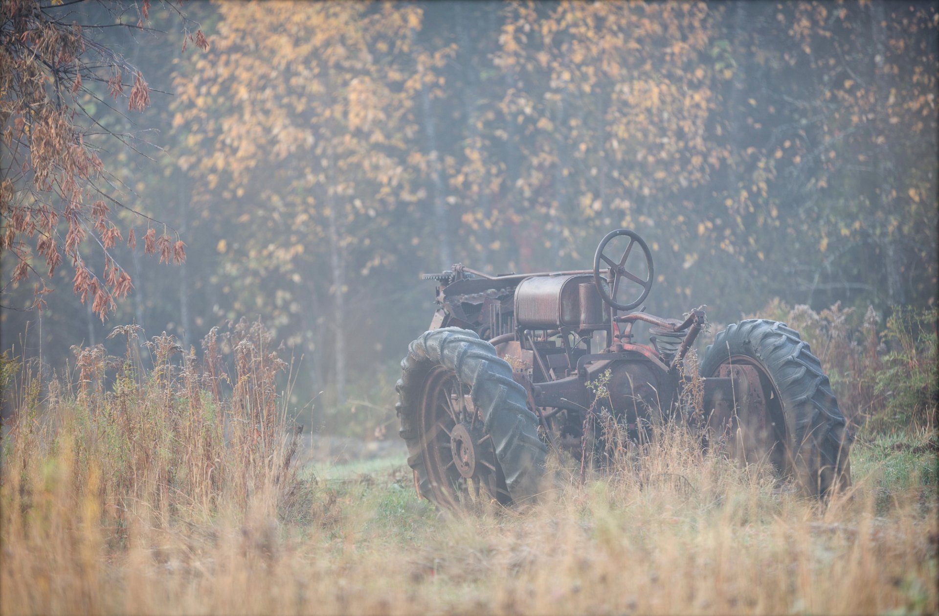 tractor otoño naturaleza niebla