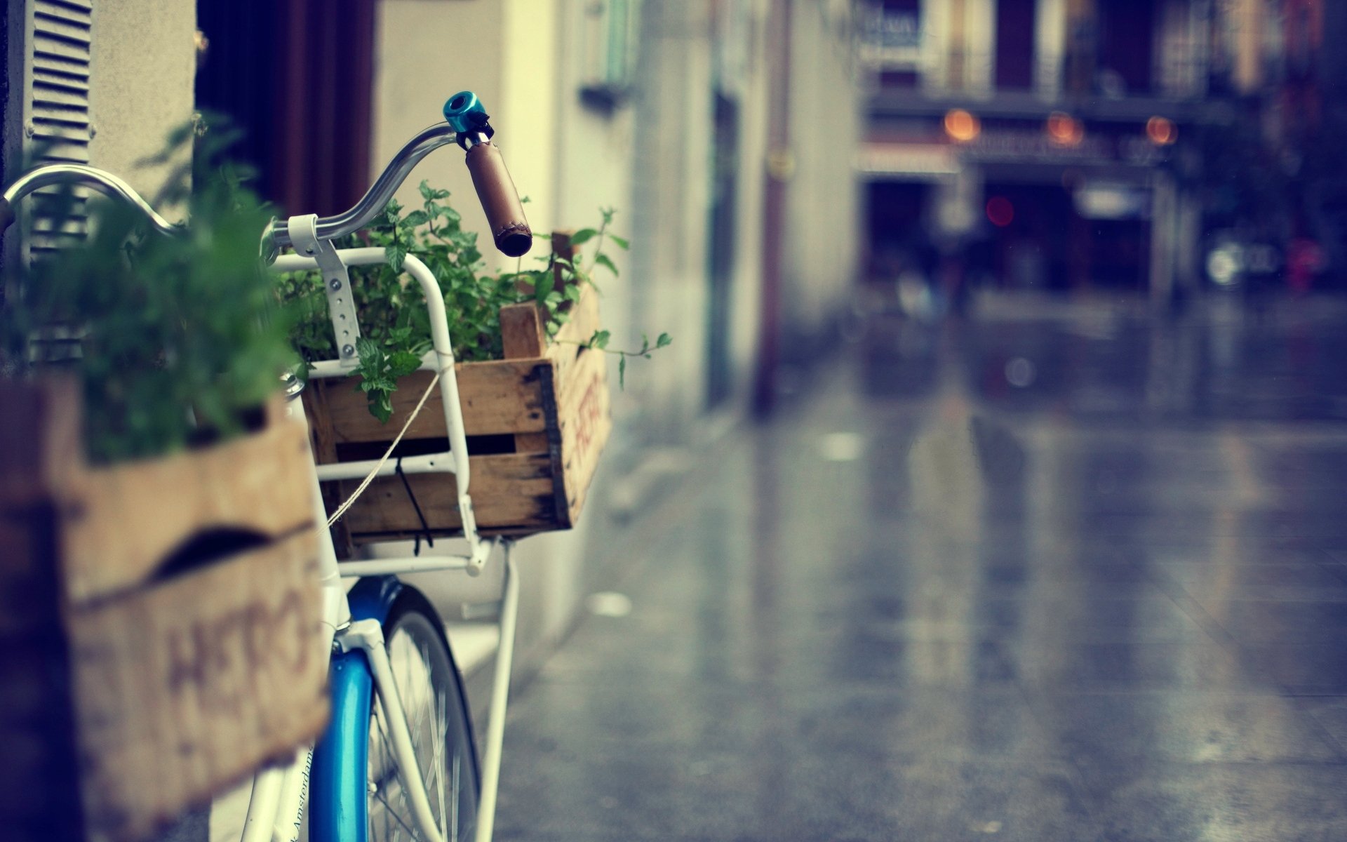 sonstiges korb korb fahrrad groß blumen gras grün stadt straße unschärfe hintergrund tapete widescreen vollbild widescreen