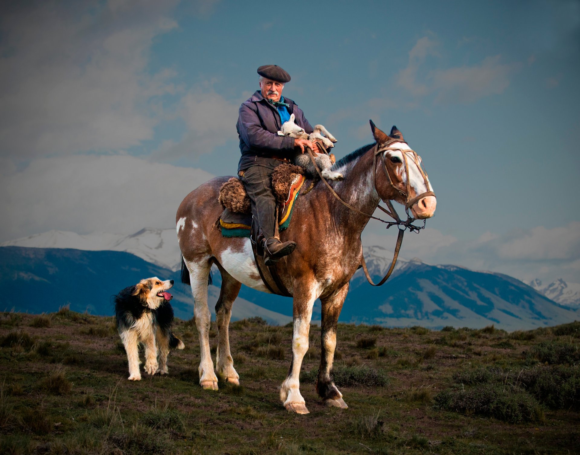 pastor caballo cordero perro