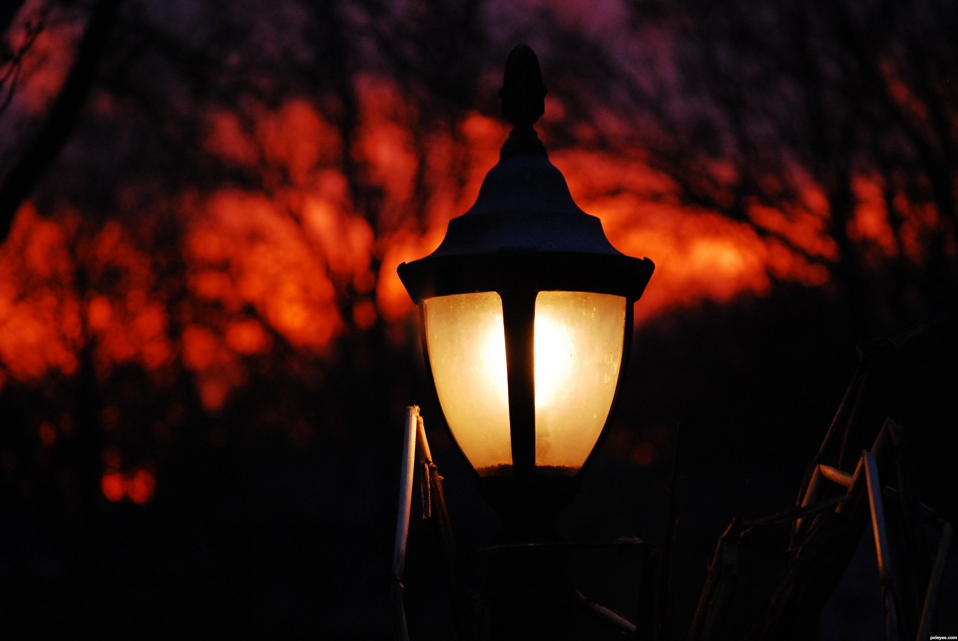 lampada sera alberi cielo parco