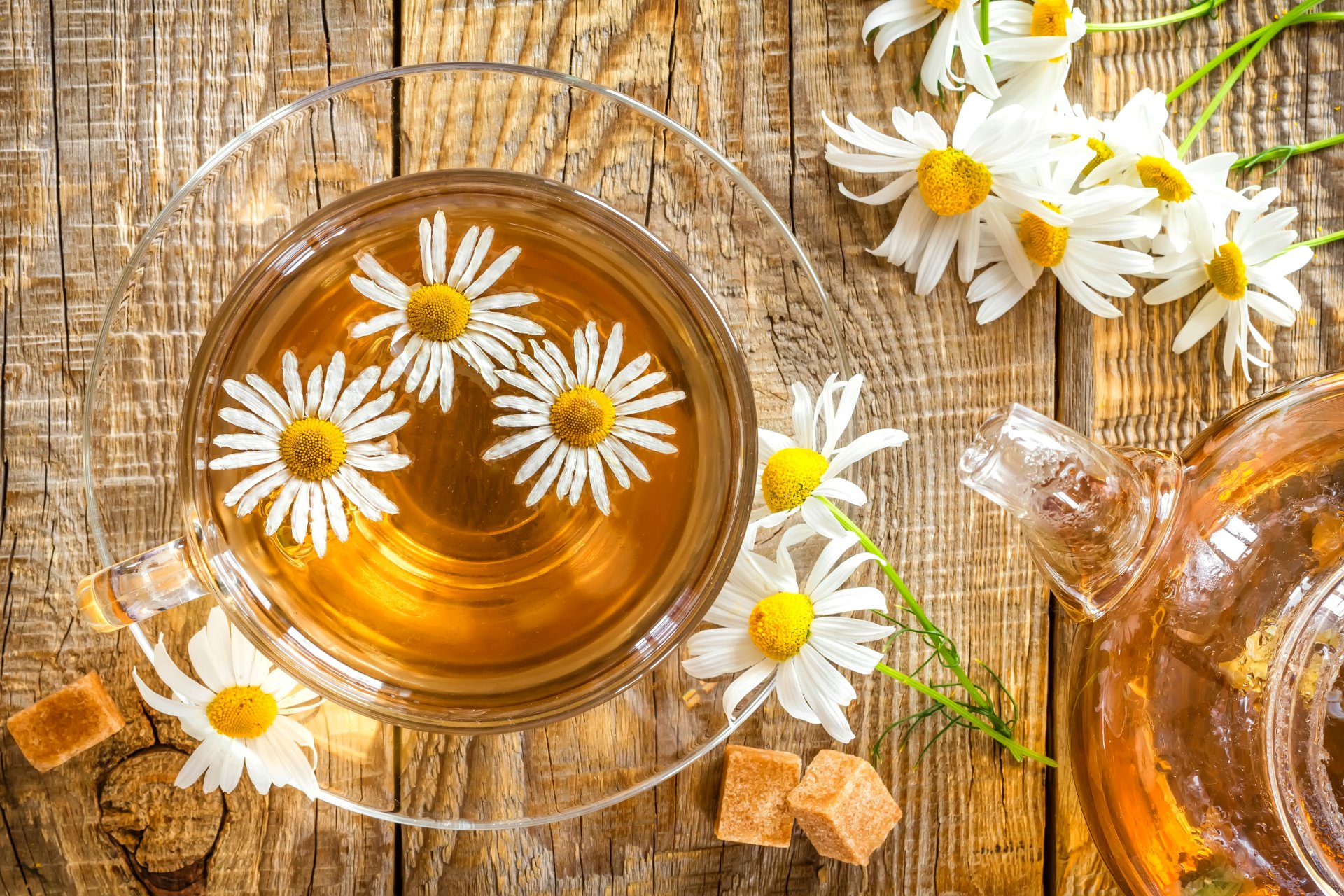 piattino tazza tè bevanda fiore camomilla bevono