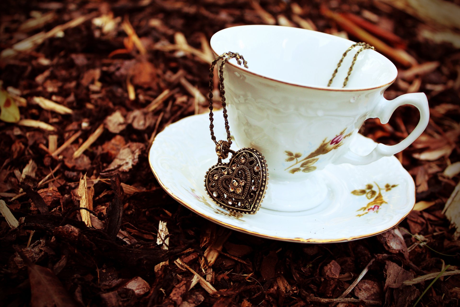 cup saucer heart suspension string pendant stones autumn leaves dry