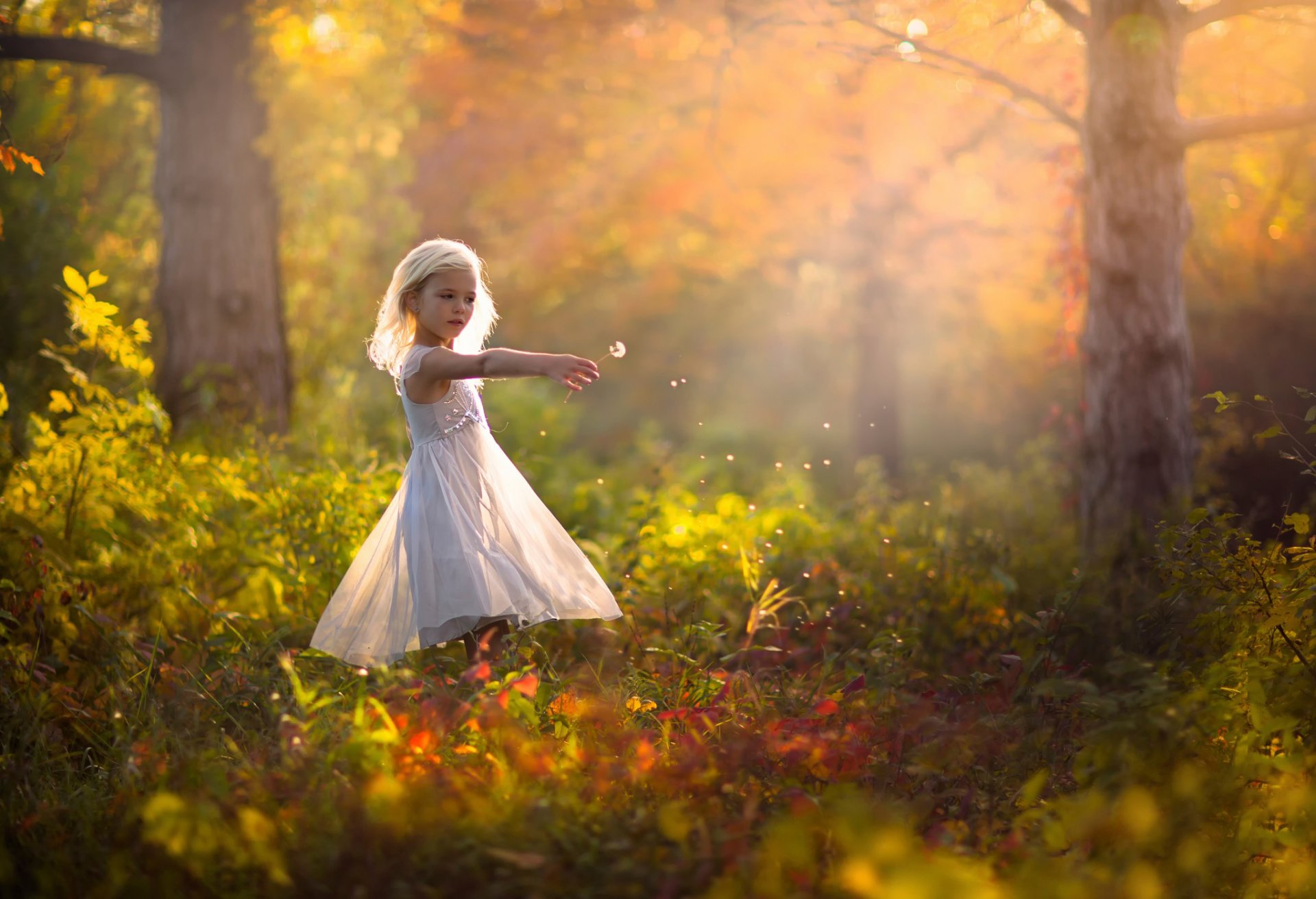 girl dress autumn nature dandelion