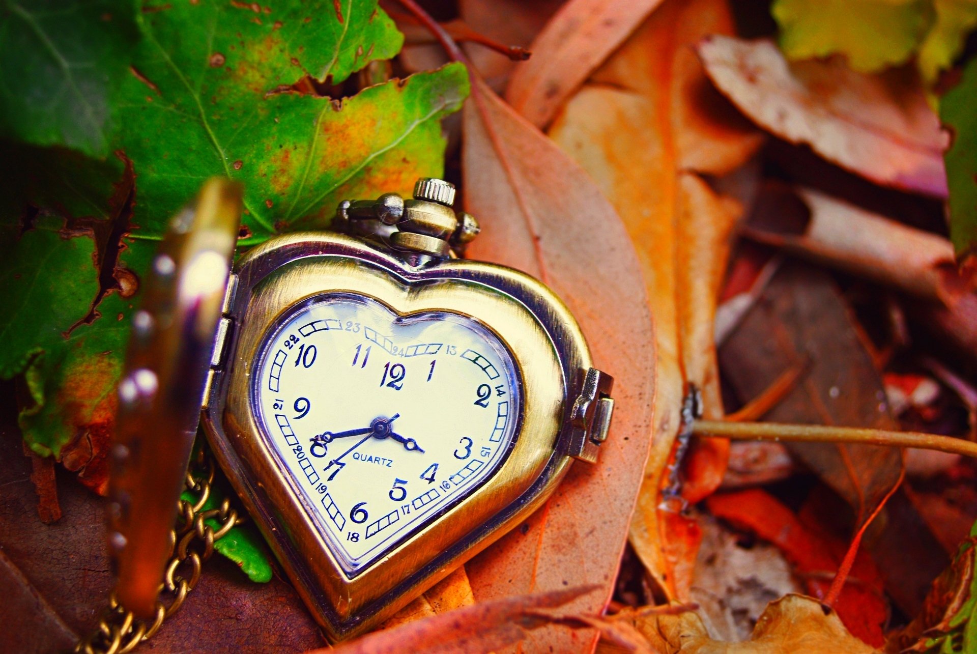 orologio quadrante foglie autunno amore quadrante mani cuore