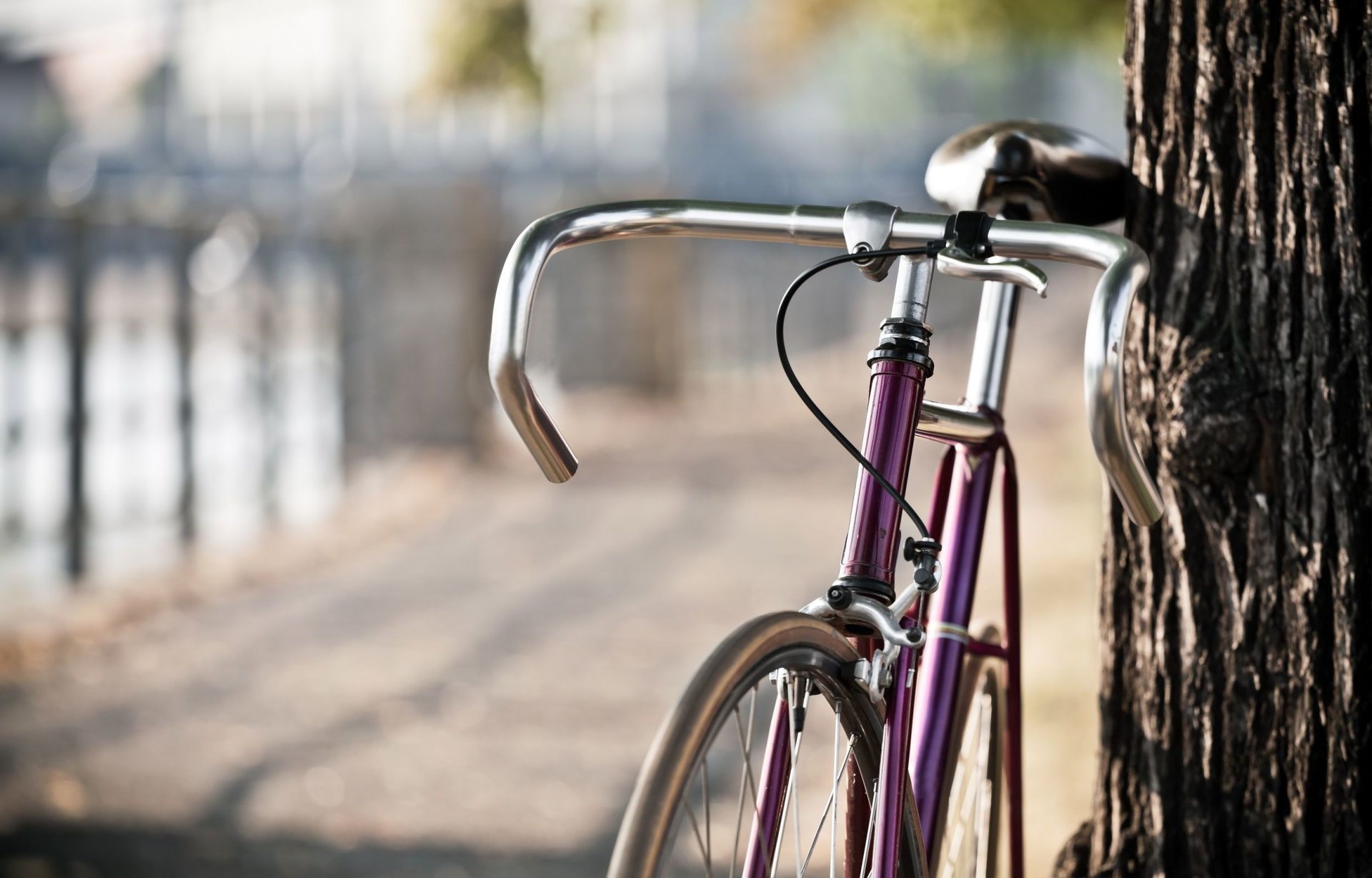 varie bicicletta grande albero tronco sfocatura bokeh città strada parco sfondo carta da parati widescreen schermo intero widescreen