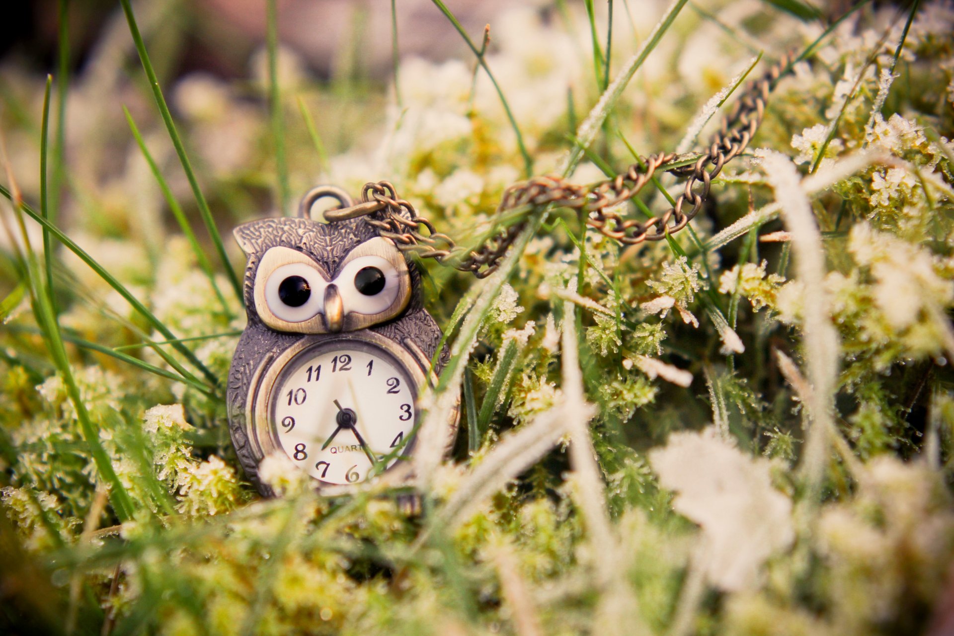 hibou horloge pendentif pendentif herbe vert gros plan