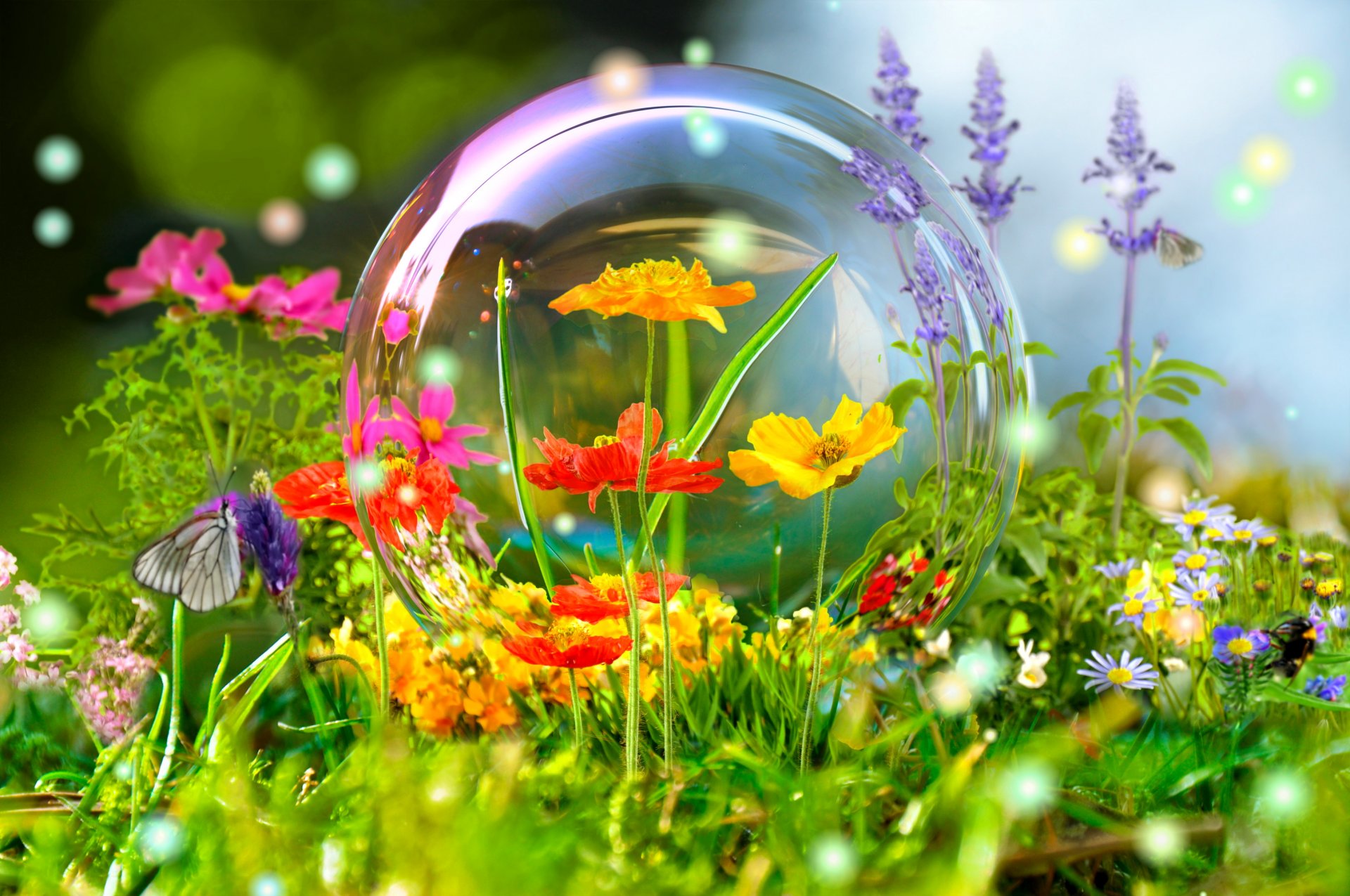 pré nature fleurs ballon bulle réflexion papillon