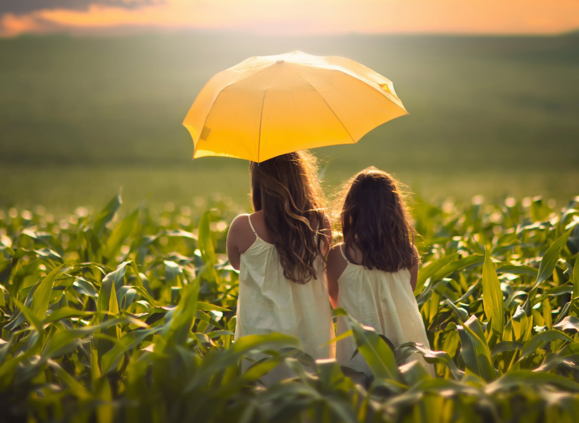 niña niñas campo maíz paraguas