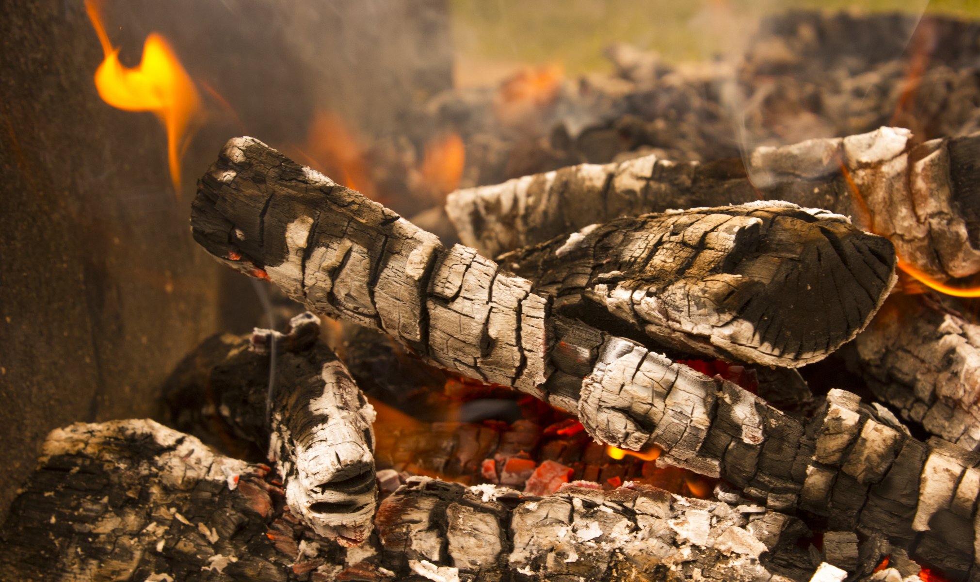 fuego naturaleza kebabs campo leña