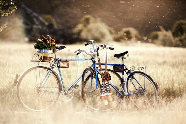 Due biciclette in un campo con un cesto di fiori