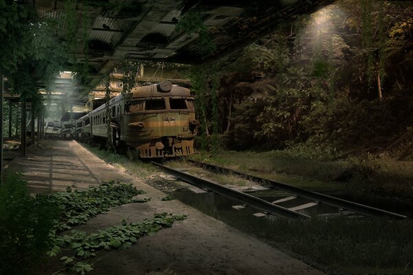 Abandoned subway after the apocalypse