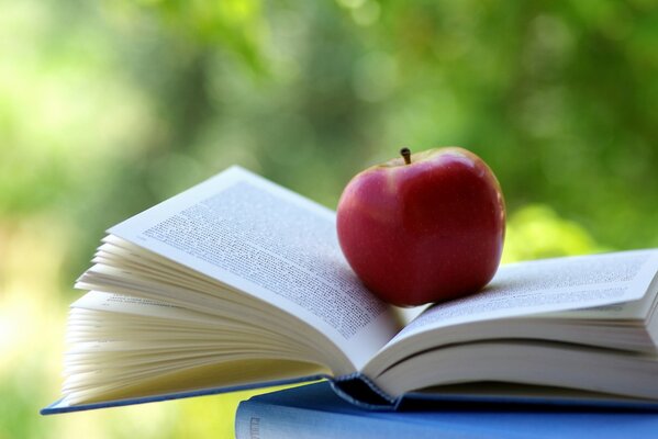 Roter Apfel zwischen den Seiten des Buches