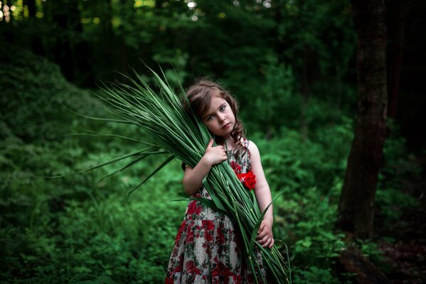 Chica en vestido rojo en el bosque