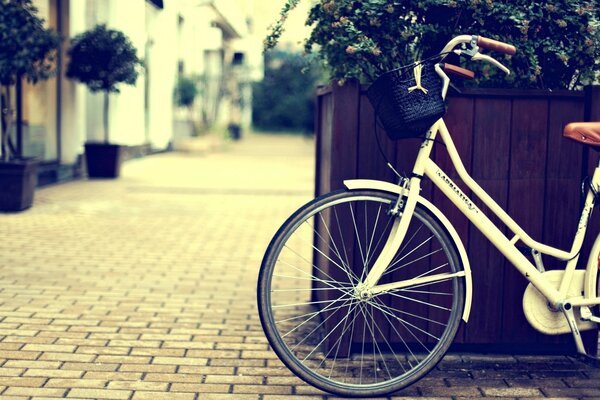 An empty street. A bicycle standing next to a flower bed