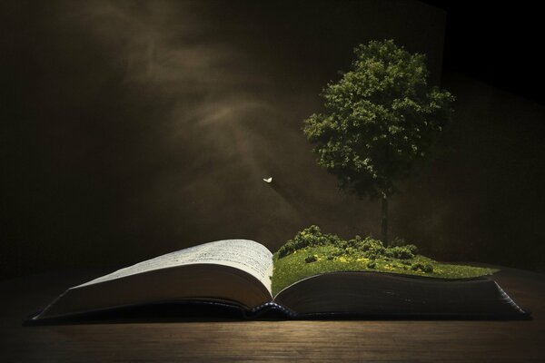 Otwarta książka na czarnym tle. Rosnące drzewo na zielonym liściu