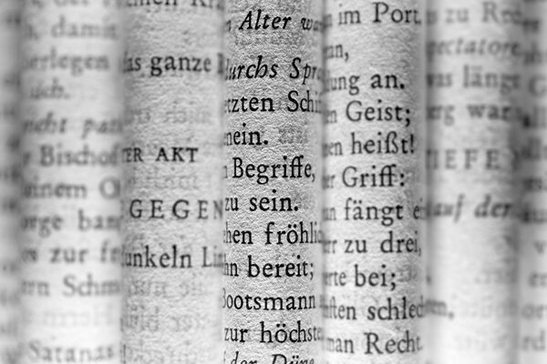 Buchseiten mit fremdsprachigem Text