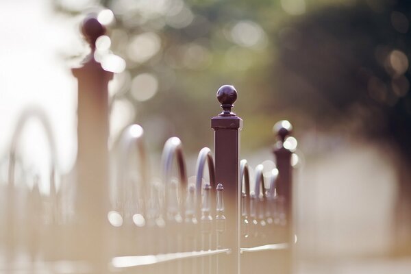 A beautiful morning and a beautiful wrought-iron fence