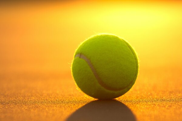 A tennis ball at sunset