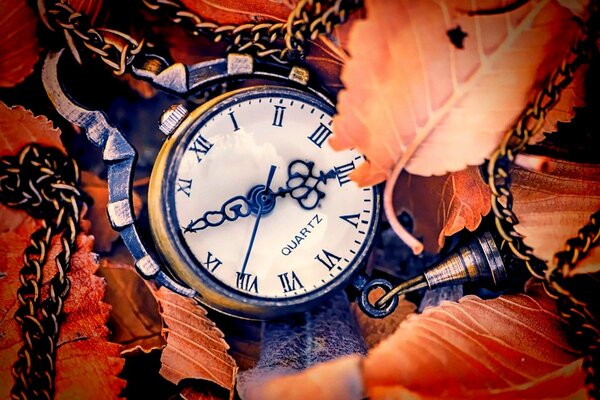 Clock face on the background of autumn leaves